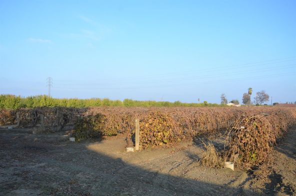 10855 E Nebraska Ave, Selma, CA 93662